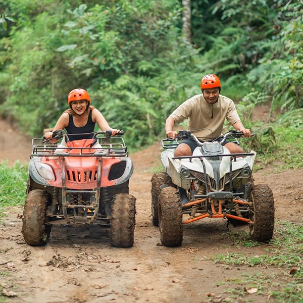 Eco turismo na Mata Atlântica, foto 2