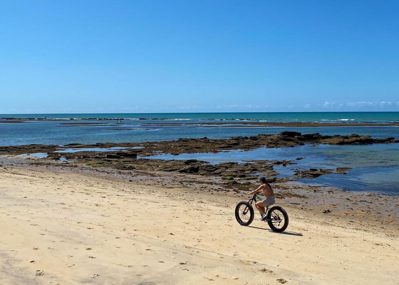 trilha de bicicleta na mata