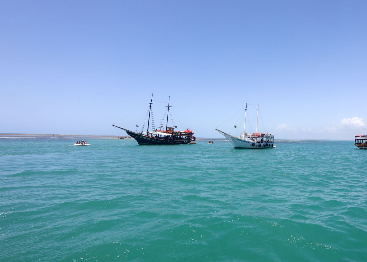passeio de lancha, baleia jubarte